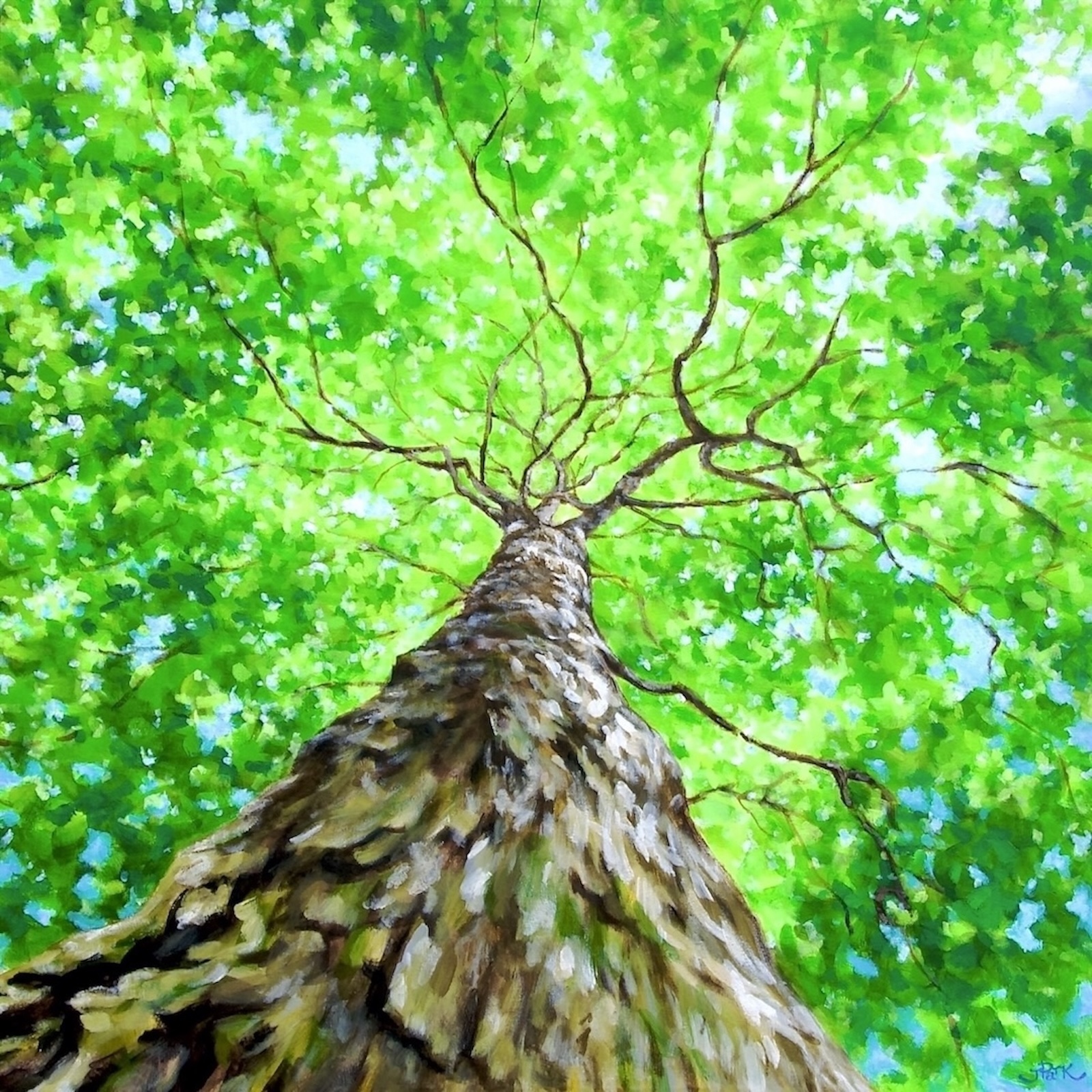 Green Breeze 